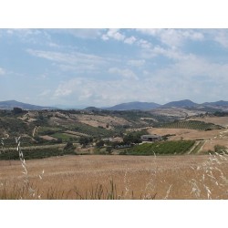Masseria Gargaleo