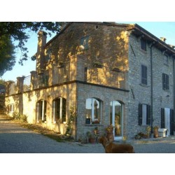 I Campi di Borla