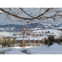 Casa Cardinali B&B