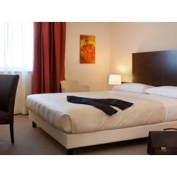 Hotel San Luigi - dormire a Beinasco con un cofanetto regalo 