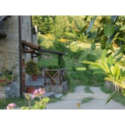 Agriturismo Nuova Era - relax e natura ad Arezzo | Equotube
