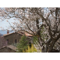 Agriturismo Guinzano