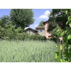 Il Corniolo