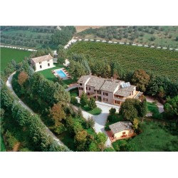 Podere Caldaruccio La Pineta