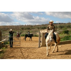 Esperienza a cavallo presso Il Mandorleto
