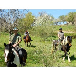 Esperienza a cavallo presso Il Mandorleto