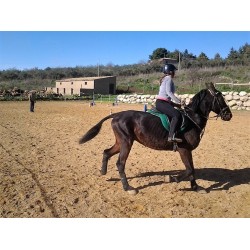 Esperienza a cavallo presso Il Mandorleto