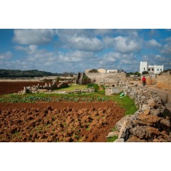 I tesori del Capo di Leuca con Salento Bici Tour