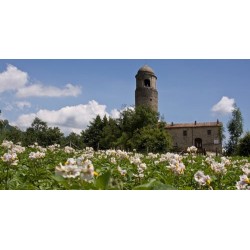 Montagna Verde