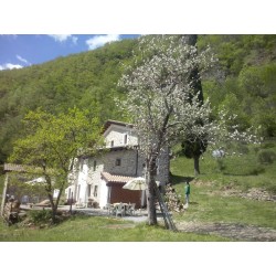 Di là dall'Acqua Agriturismo