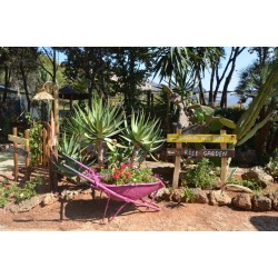 El Bahira Camping Village
