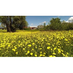 Villaggio Ecologico di Granara