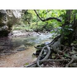 Trekking nella terra del benessere con Bikelife