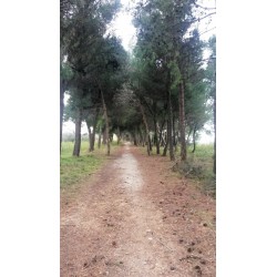 Trekking sulla costa dei trabocchi con Bikelife