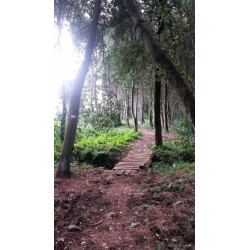 Trekking sulla costa dei trabocchi con Bikelife