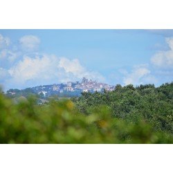 Poggio Sassineri