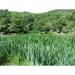 Il Parco dei Nebrodi tra mare e monti