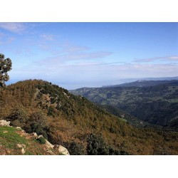 Il Parco dei Nebrodi tra mare e monti