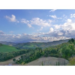 Borgo Storico Cisterna