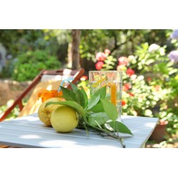 Il Giardino di Tonia