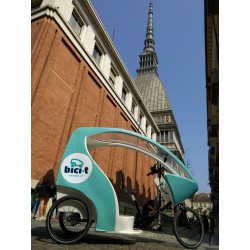 Visita o Tour di Torino con Bici-T