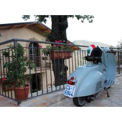 Il Biscardino