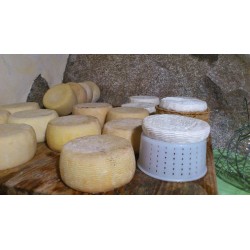 Fattoria dei Ricordi