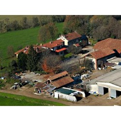 Agriturismo Cascina Selva - fattoria didattica con animale a Abbiategrasso