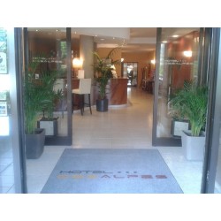 Hotel Des Alpes