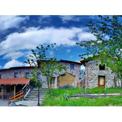 Risveglio Naturale