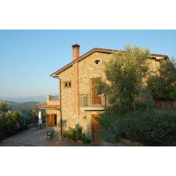 La Mancosa
