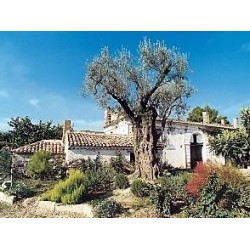 Il Giardino di Iti