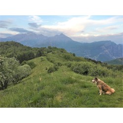 CàManin Azienda Agrituristica