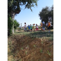In azienda con il fattore presso Poggio Sassineri