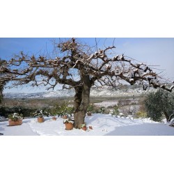 Il Terrazzo sul Sinni