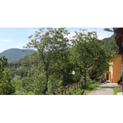 La Casa del Borgo B&B