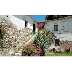 Il Giardino di Iti