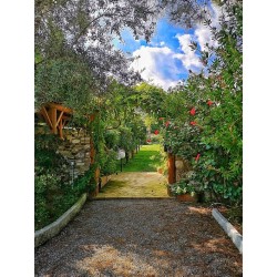 Il Giardino di Iti