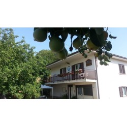B&B Al Tetto Rosso