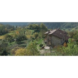 B&B Cà Dei Fazzilisti