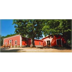Casa Natura