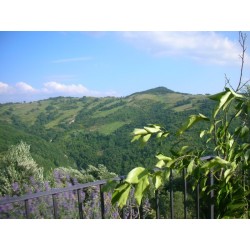 Agriturismo Guinzano