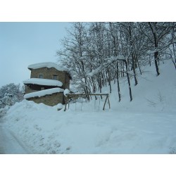 Sapori di Campagna