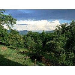 Agriturismo i 7 raggi - cofanetto regalo Auguri | Equotube