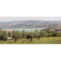 Welcome & Welfare Albergo diffuso di Campolattaro