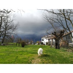 Cascina Trapella - dormire vicino a Casale Monferrato