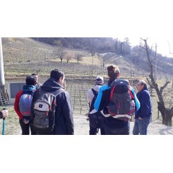 Il Segreto di Miro Agriturismo