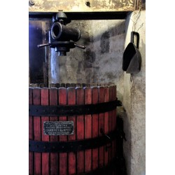 Il Segreto di Miro Agriturismo