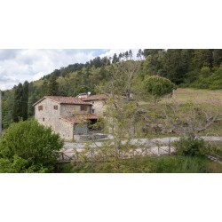 Fattoria di Cintoia