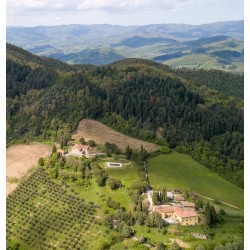 Agriturismo Fattoria di Cintoia